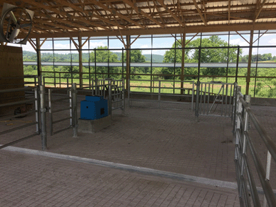 gates and fences