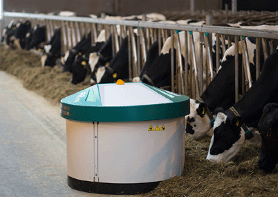 Automated feeding systems