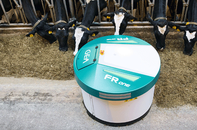 Automated feeding systems